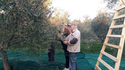 visit us with a group