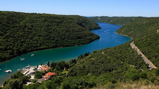 Tomažova Konoba Vošteni - The environment